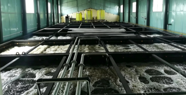 冷冻肉制品血水污水,屠宰分割高油脂废水,多级气浮除油工艺,一体化 A/O 生化,肉类加工污水处理,食品厂污水提质改造,乳化油去除技术,肉制品污水稳定达标工艺
