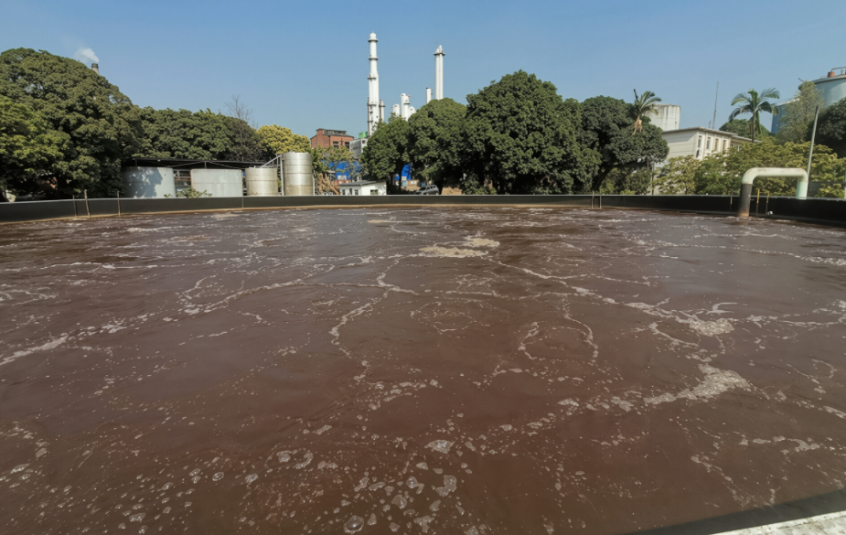 磷石膏源头处理, 无水石膏母粒, 磷化工减污降碳, 固废资源化, 浮选净化装备, 若源环保