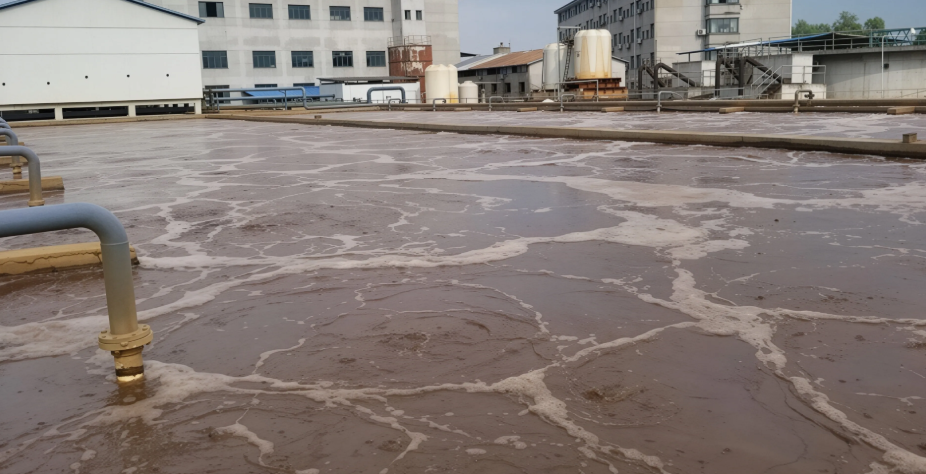 窖底废水、厌氧IC反应器、芬顿高级氧化、白酒酿造废水、高COD降解、深度处理、若源环保