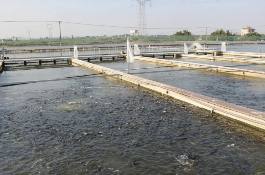 稀土加工废水,重金属盐废水,除氟处理,危废污泥,有色金属废水治理